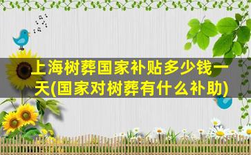 上海树葬国家补贴多少钱一天(国家对树葬有什么补助)