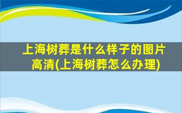 上海树葬是什么样子的图片高清(上海树葬怎么办理)