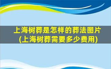 上海树葬是怎样的葬法图片(上海树葬需要多少费用)