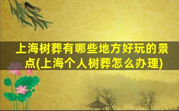 上海树葬有哪些地方好玩的景点(上海个人树葬怎么办理)