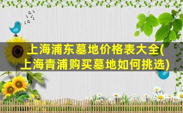 上海浦东墓地价格表大全(上海青浦购买墓地如何挑选)