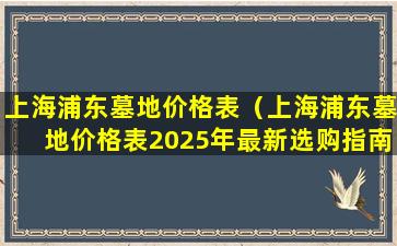 上海浦东墓地价格表（上海浦东墓地价格表2025年最新选购指南）