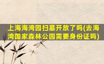 上海海湾园扫墓开放了吗(去海湾国家森林公园需要身份证吗)