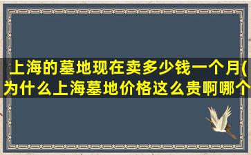 上海的墓地现在卖多少钱一个月(为什么上海墓地价格这么贵啊哪个陵园公墓的价格相对低些)
