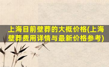 上海目前壁葬的大概价格(上海壁葬费用详情与最新价格参考)