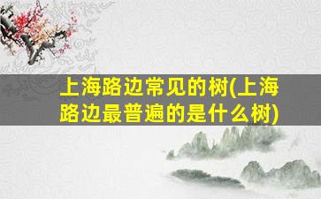 上海路边常见的树(上海路边最普遍的是什么树)