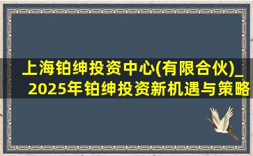 上海铂绅投资中心(有限合伙)_2025年铂绅投资新机遇与策略