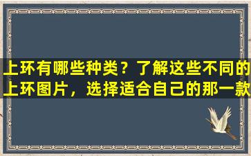 上环有哪些种类？了解这些不同的上环图片，选择适合自己的那一款！