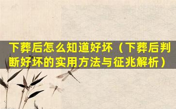 下葬后怎么知道好坏（下葬后判断好坏的实用方法与征兆解析）