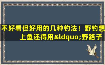 不好看但好用的几种钓法！野钓想上鱼还得用“野路子”