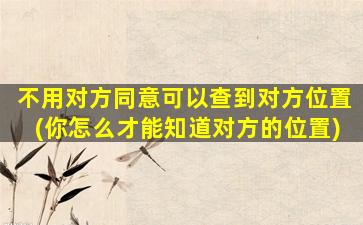 不用对方同意可以查到对方位置(你怎么才能知道对方的位置)