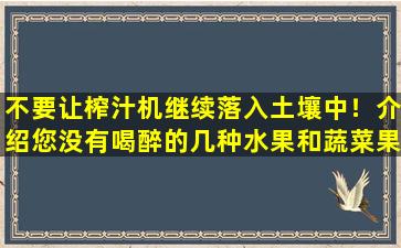 不要让榨汁机继续落入土壤中！介绍您没有喝醉的几种水果和蔬菜果汁