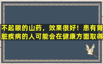 不起眼的山药，效果很好！患有肾脏疾病的人可能会在健康方面取得这三个重大改善。