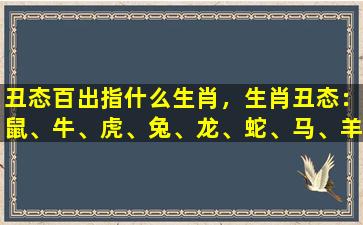 丑态百出指什么生肖，生肖丑态：鼠、牛、虎、兔、龙、蛇、马、羊、猴、鸡、狗、猪