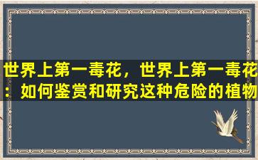 世界上第一毒花，世界上第一毒花：如何鉴赏和研究这种危险的植物