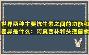 世界两种主要抗生素之间的功能和差异是什么：阿莫西林和头孢菌素？不要错
