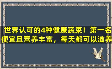 世界认可的4种健康蔬菜！第一名便宜且营养丰富，每天都可以滋养黄金肠