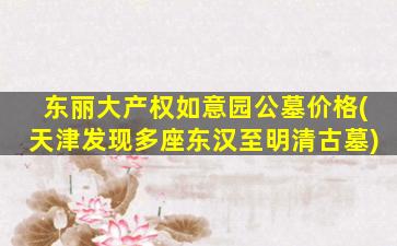 东丽大产权如意园公墓价格(天津发现多座东汉至明清古墓)