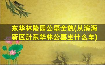 东华林陵园公墓全貌(从滨海新区計东华林公墓坐什么车)
