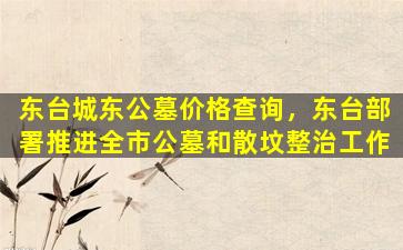 东台城东公墓价格查询，东台部署推进全市公墓和散坟整治工作