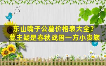 东山嘴子公墓价格表大全？墓主疑是春秋战国一方小贵族