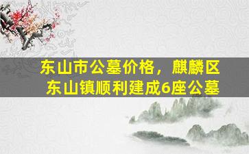 东山市公墓价格，麒麟区东山镇顺利建成6座公墓