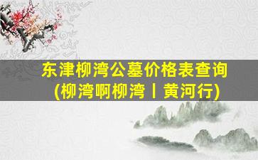 东津柳湾公墓价格表查询(柳湾啊柳湾丨黄河行)