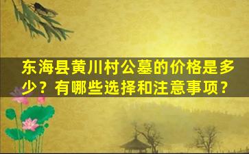 东海县黄川村公墓的价格是多少？有哪些选择和注意事项？