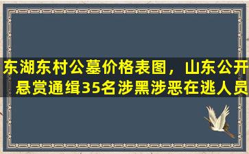 东湖东村公墓价格表图，山东公开悬赏通缉35名涉黑涉恶在逃人员