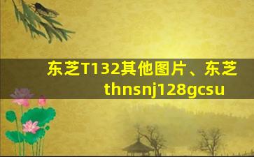 东芝T132其他图片、东芝thnsnj128gcsu