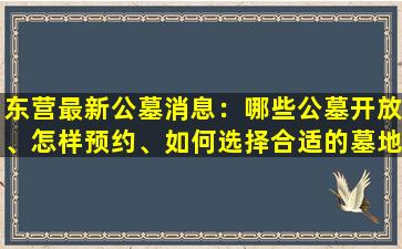 东营最新公墓消息：哪些公墓开放、怎样预约、如何选择合适的墓地？