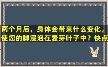 两个月后，身体会带来什么变化，使您的脚浸泡在麦芽叶子中？快点找出答案