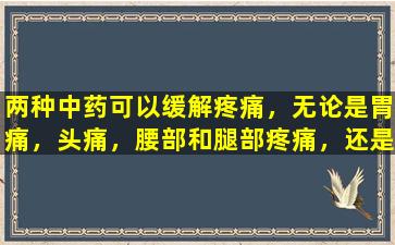 两种中药可以缓解疼痛，无论是胃痛，头痛，腰部和腿部疼痛，还是痛经。
