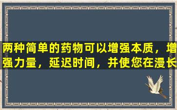 两种简单的药物可以增强本质，增强力量，延迟时间，并使您在漫长的战斗之后无法失败