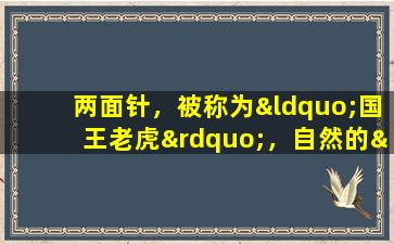 两面针，被称为“国王老虎”，自然的“牙痛草”和乡村的“野胡椒”