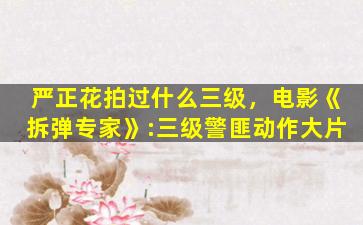 严正花拍过什么三级，电影《拆弹专家》:三级警匪动作大片