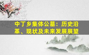 中丁乡集体公墓：历史沿革、现状及未来发展展望