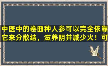 中医中的卷曲种人参可以完全依靠它来分散结，滋养阴并减少火！可用于团块和结节