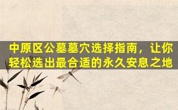 中原区公墓墓穴选择指南，让你轻松选出最合适的永久安息之地