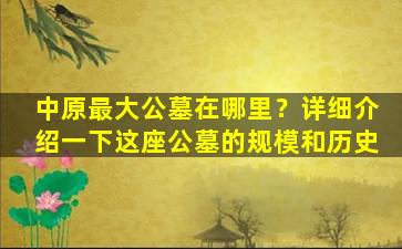 中原最大公墓在哪里？详细介绍一下这座公墓的规模和历史