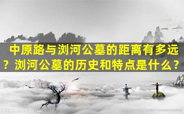 中原路与浏河公墓的距离有多远？浏河公墓的历史和特点是什么？
