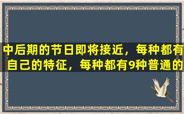 中后期的节日即将接近，每种都有自己的特征，每种都有9种普通的冷毒
