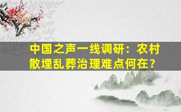 中国之声一线调研：农村散埋乱葬治理难点何在？