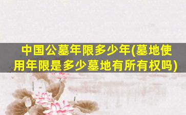 中国公墓年限多少年(墓地使用年限是多少墓地有所有权吗)