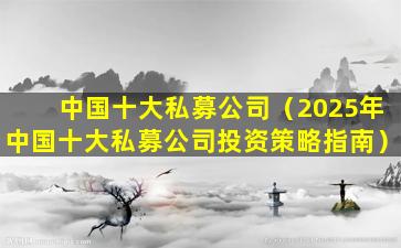中国十大私募公司（2025年中国十大私募公司投资策略指南）