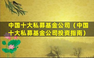 中国十大私募基金公司（中国十大私募基金公司投资指南）