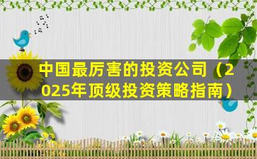 中国最厉害的投资公司（2025年顶级投资策略指南）