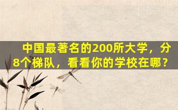 中国最著名的200所大学，分8个梯队，看看你的学校在哪？