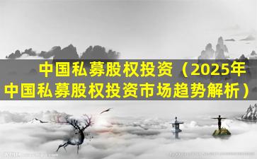 中国私募股权投资（2025年中国私募股权投资市场趋势解析）