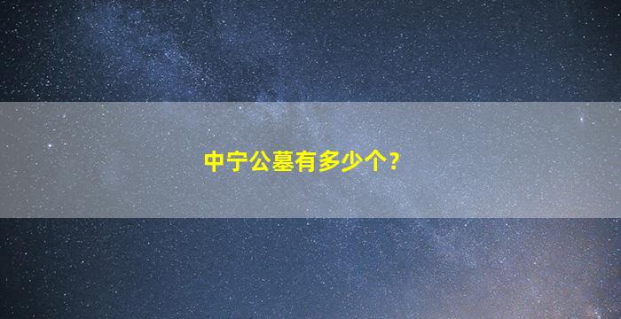 中宁公墓有多少个？